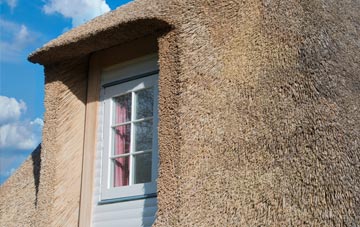 Wallridge thatch roof disadvantages